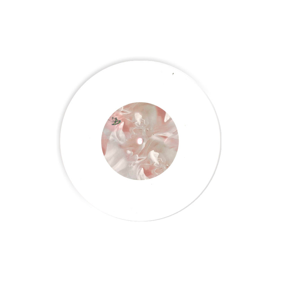 Lenxi - Did You Get The Dream I Sent You? / Water Connects Us (PVC061)